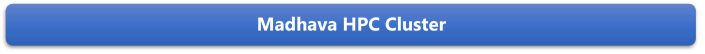 Madhava HPC Cluster

