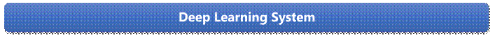 Deep Learning System

