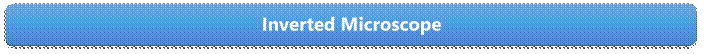 Inverted Microscope

