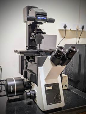 inverted microscope.jpg