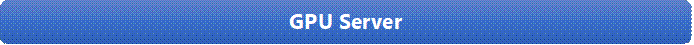 GPU Server