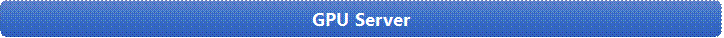 GPU Server
